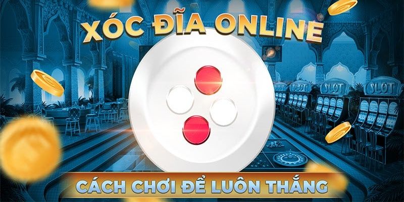 Chiến lược chơi xóc đĩa newbie cần nắm  