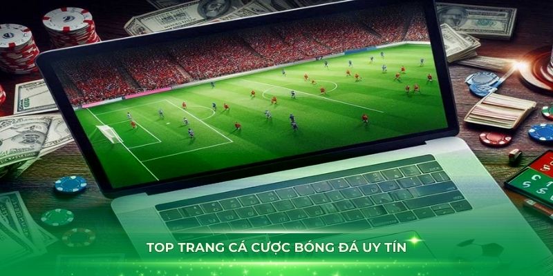 TOP trang cá cược bóng đá uy tín người chơi tin dùng